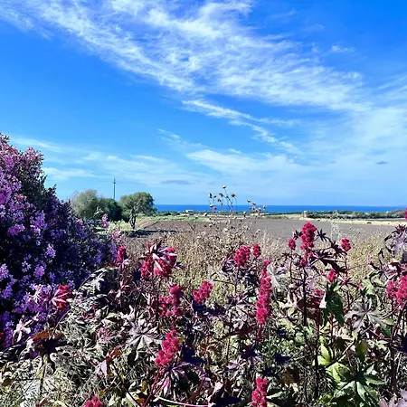 Daniel's House Апартаменты *